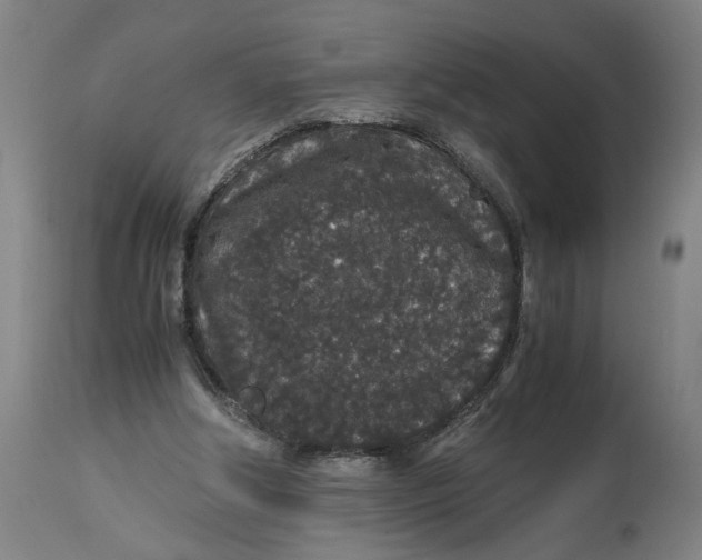 X0000114660202200911101350