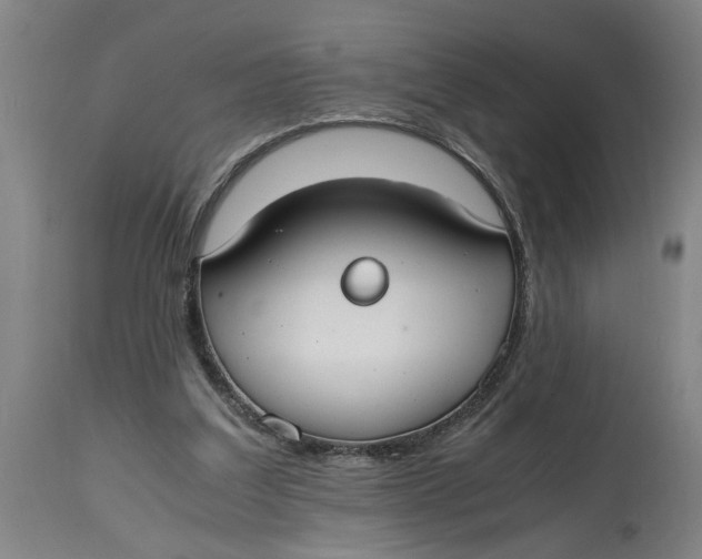 X0000114660203200911101350