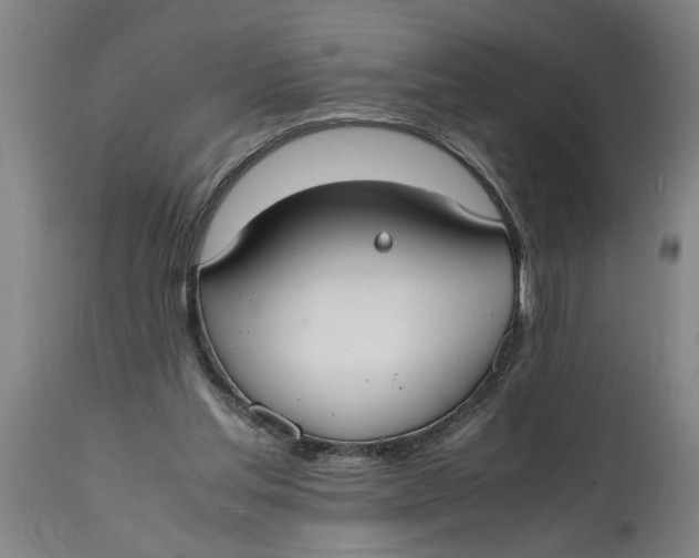 X0000114660205200911101350