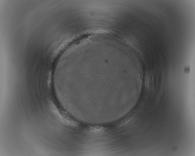 X0000114660206200911101350