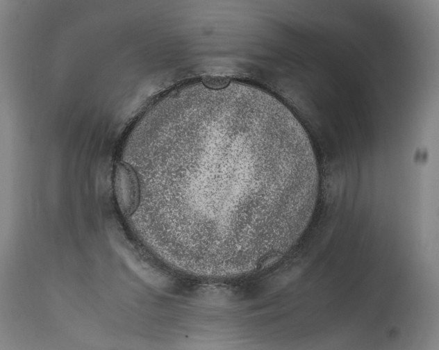 X0000114660207200911101350