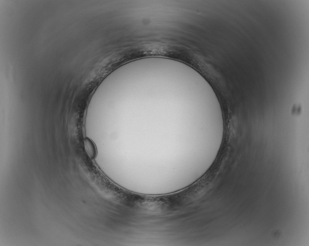 X0000114660209200911101350