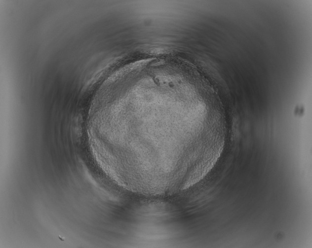 X0000114660210200911101350