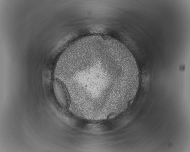 X0000114660211200911101350