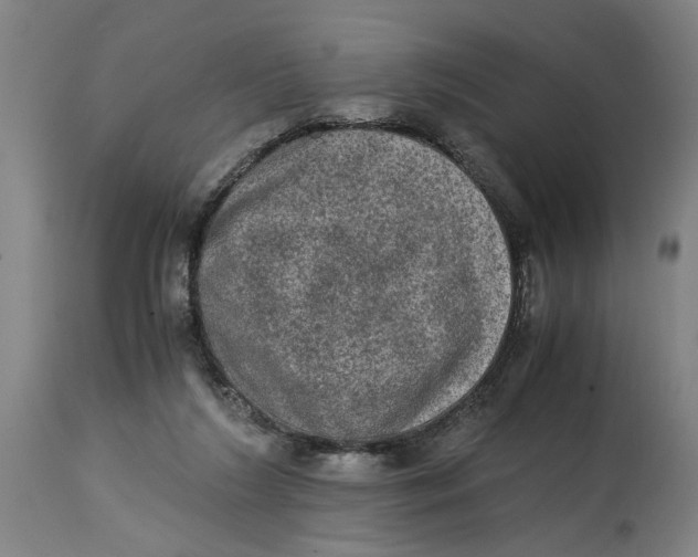 X0000114660212200911101350