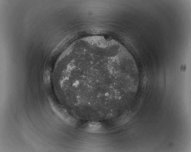 X0000114660214200911101350