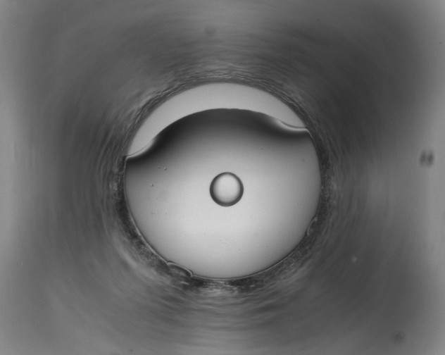 X0000114660215200911101350