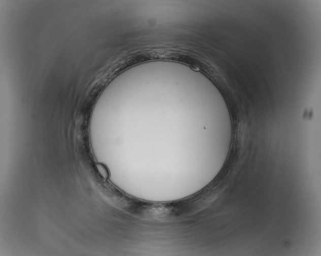 X0000114660217200911101350