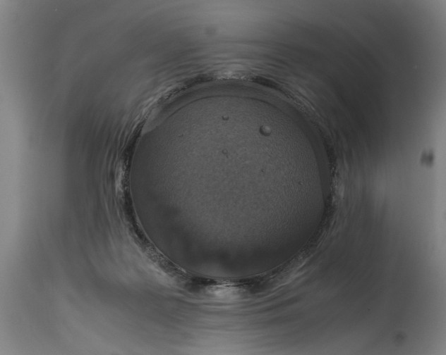 X0000114660219200911101350