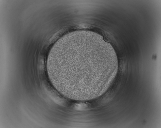 X0000114660220200911101350