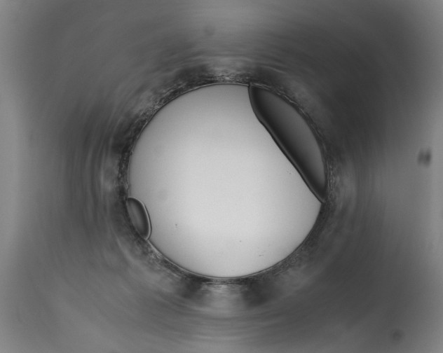 X0000114660221200911101350