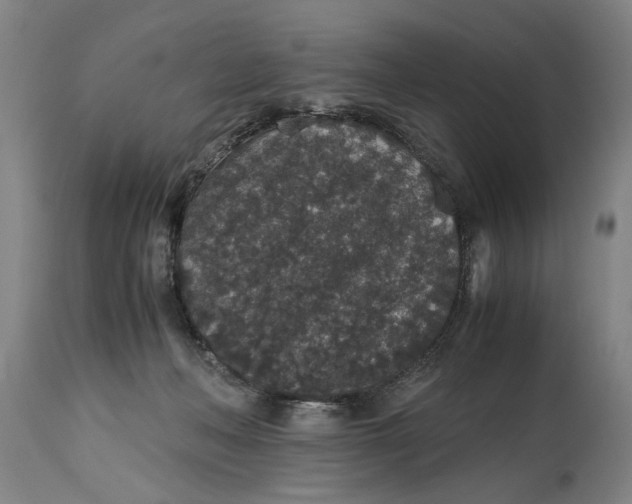 X0000114660222200911101350