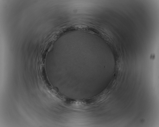 X0000114660223200911101350