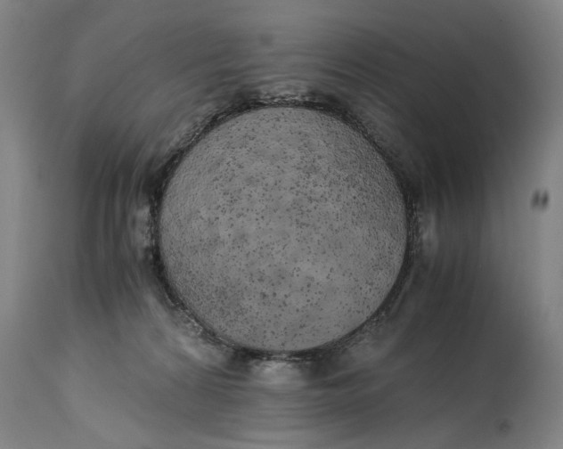 X0000114660224200911101350