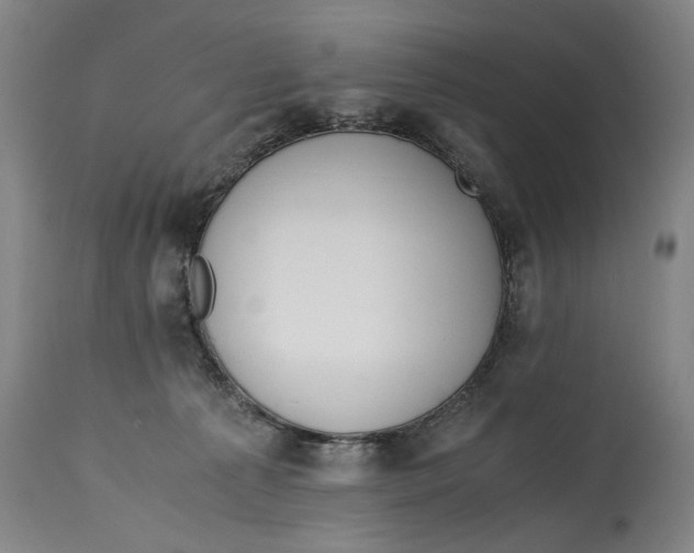 X0000114660225200911101350