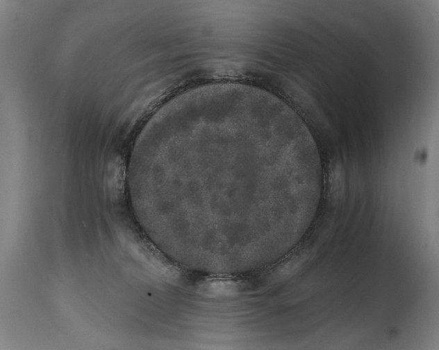 X0000114660228200911101350