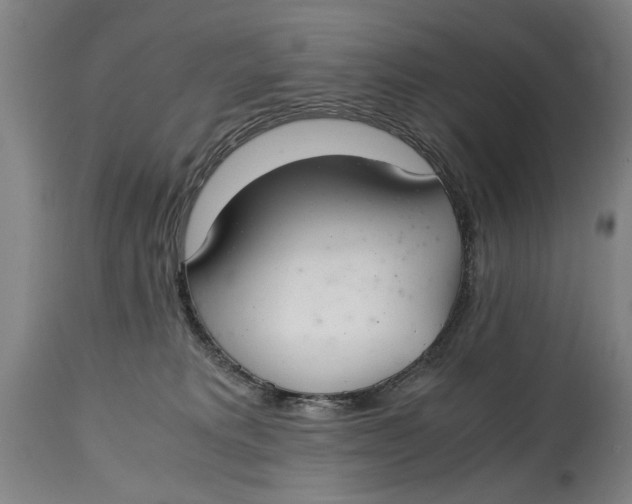 X0000114660229200911101350