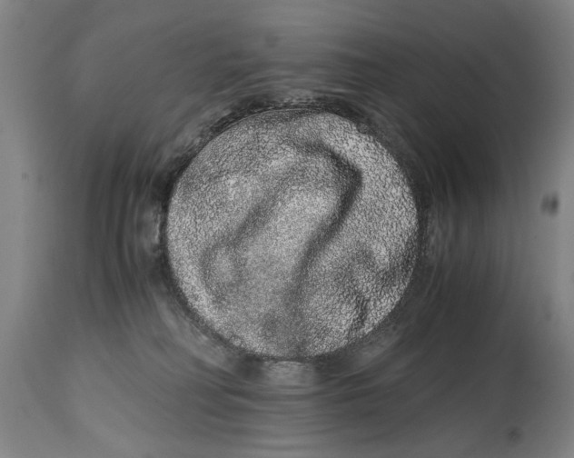 X0000114660230200911101350