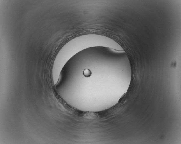 X0000114660231200911101350