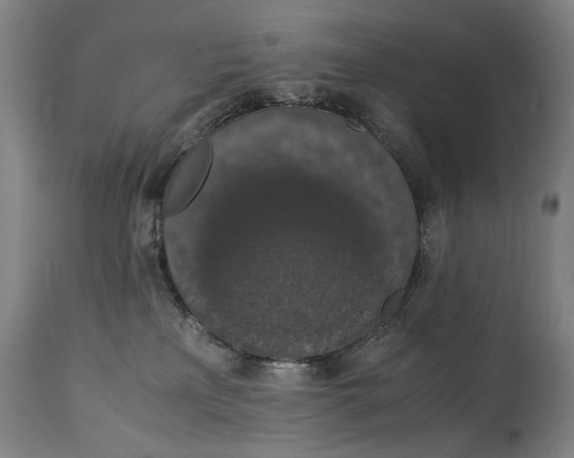 X0000114660233200911101350