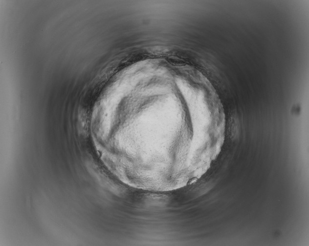 X0000114660234200911101350