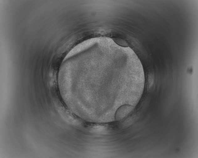 X0000114660236200911101350