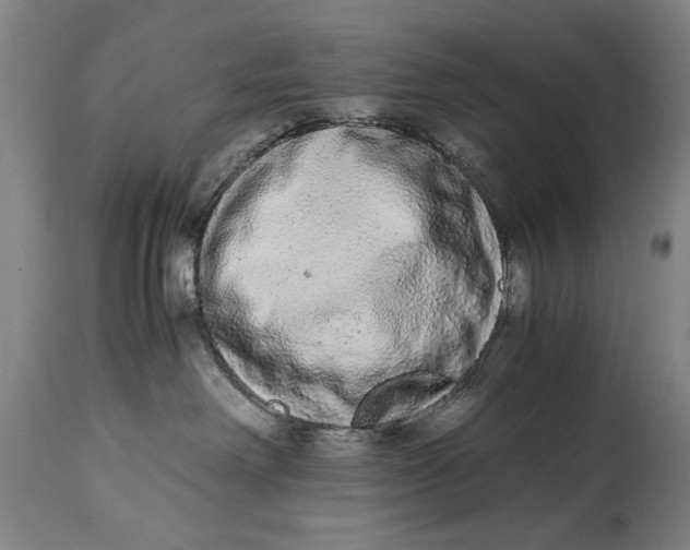 X0000114660238200911101350