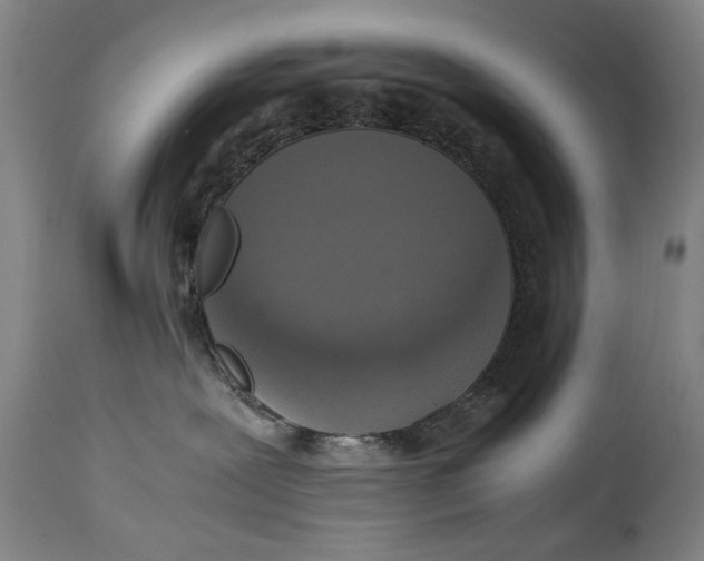 X0000114660239200911101350