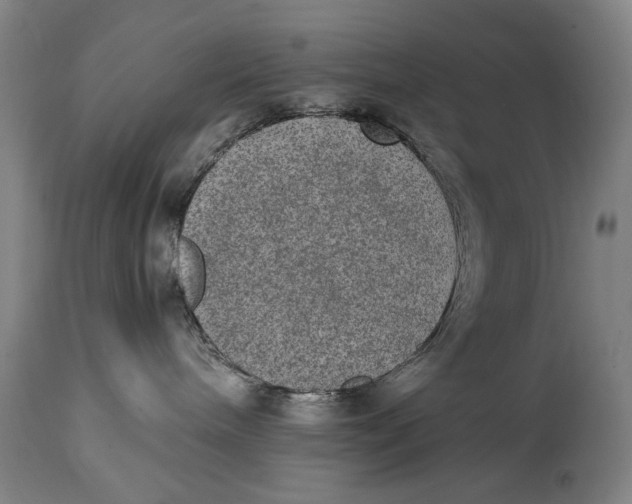 X0000114660240200911101350