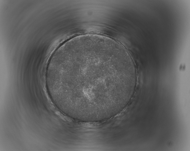 X0000114660241200911101349