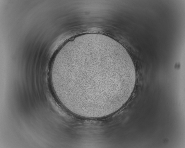 X0000114660242200911101349