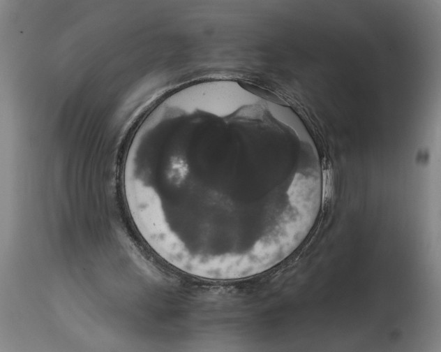 X0000114660243200911101349