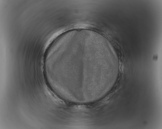 X0000114660244200911101349