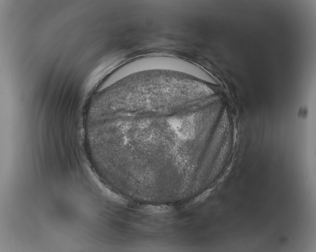 X0000114660245200911101349