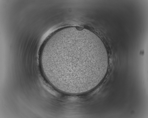 X0000114660246200911101349