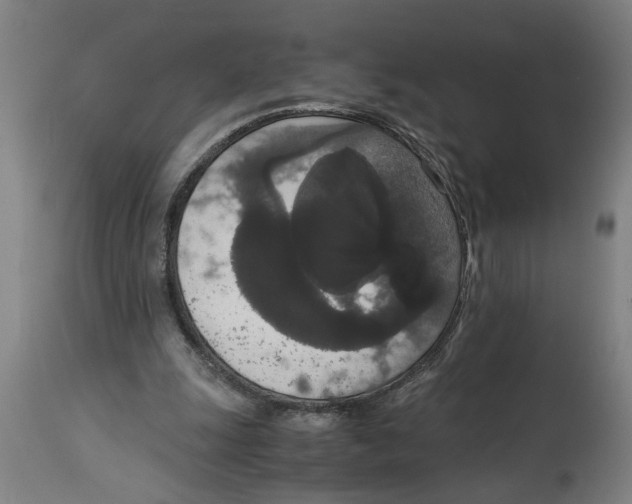 X0000114660247200911101349