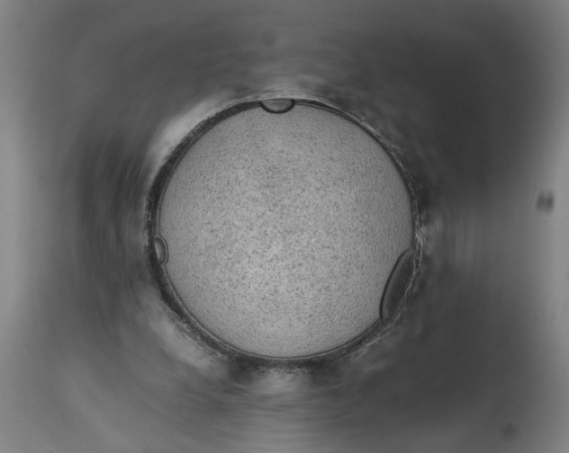 X0000114660248200911101349