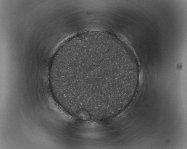 X0000114660249200911101349