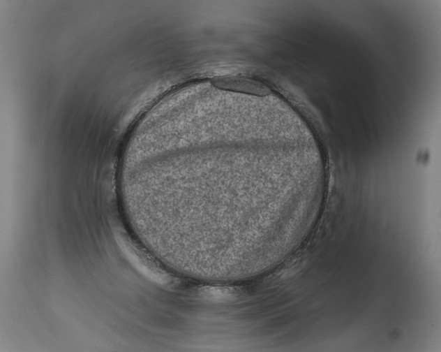 X0000114660250200911101349