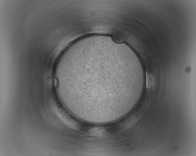 X0000114660252200911101349