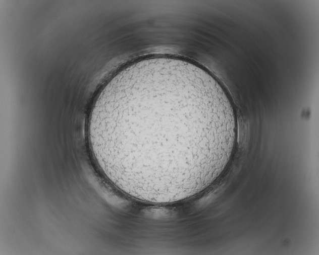 X0000114660253200911101349