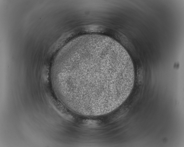 X0000114660255200911101349