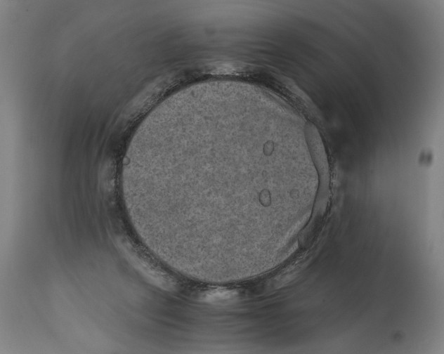 X0000114660257200911101350