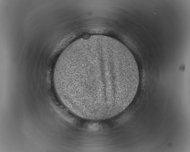 X0000114660258200911101350