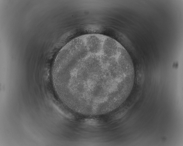 X0000114660259200911101350