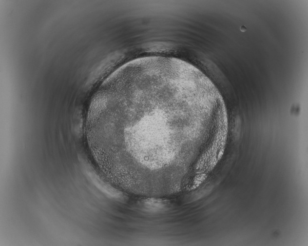 X0000114660261200911101350