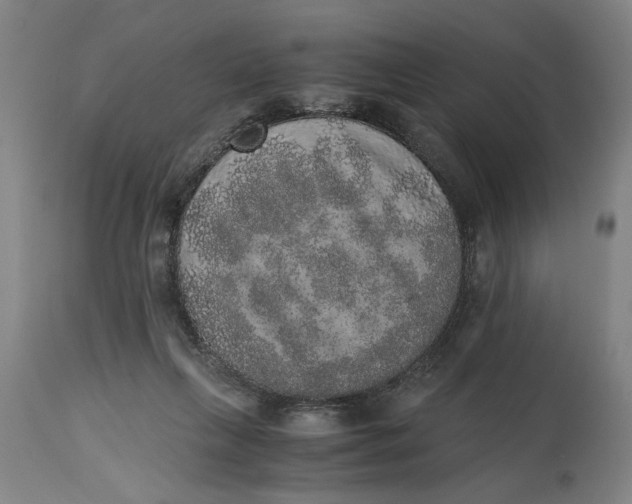 X0000114660263200911101350