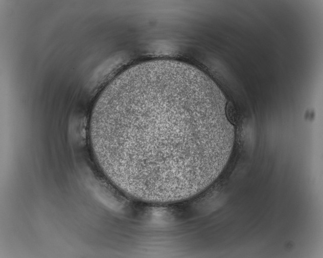 X0000114660264200911101350