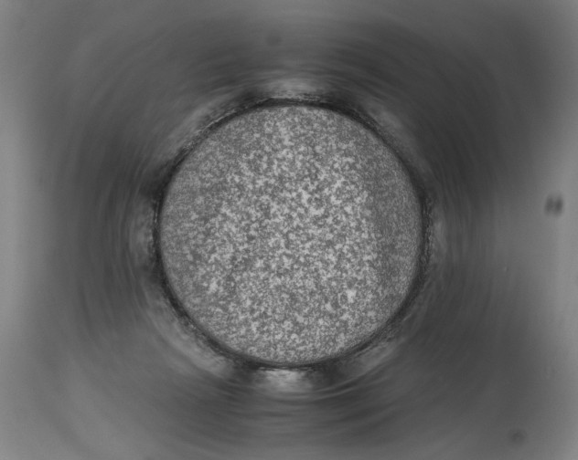 X0000114660265200911101350