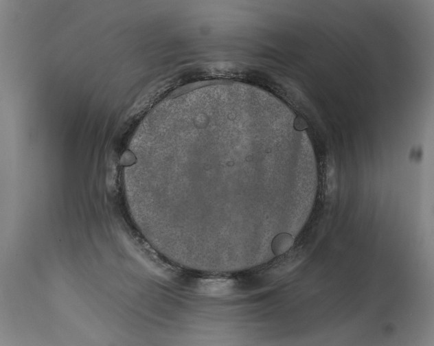 X0000114660266200911101350